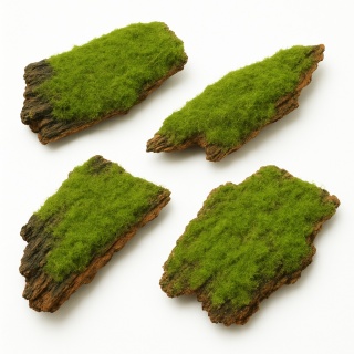 EXO PLANET Kawałki kory pokryte mchem - średnie 120g