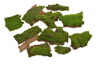 EXO PLANET Kawałki kory pokryte mchem - małe 100g