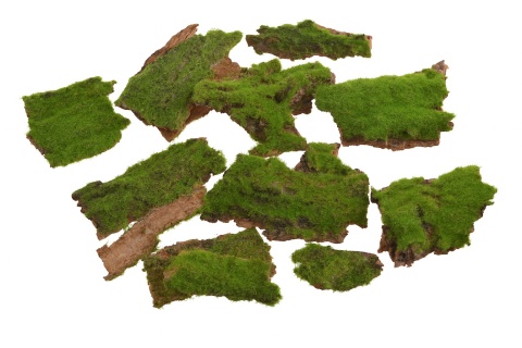 EXO PLANET Kawałki kory pokryte mchem - małe 100g