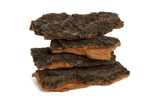 EXO PLANET Kawałki kory średnie 4 szt