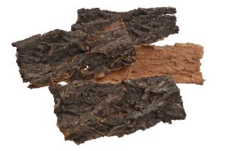 EXO PLANET Kawałki kory średnie 4 szt