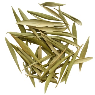 EXO PLANET Olive Leaves - Liście oliwne 40g