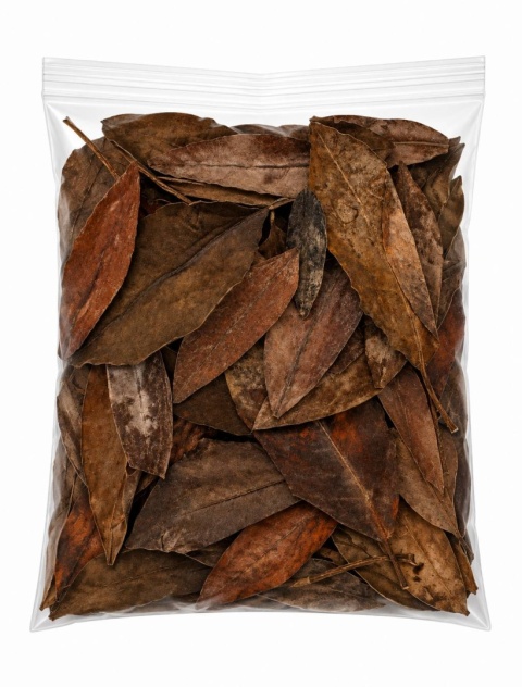EXO PLANET Mangrove Leaves - liście mangrowca 20g