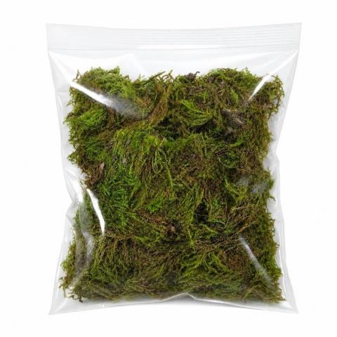 EXO PLANET Mech torfowiec Sphagnum Moss Zielony (Green moss) 25g