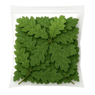 EXO PLANET Oak Leaves Green - Liście dębu zielone 30g