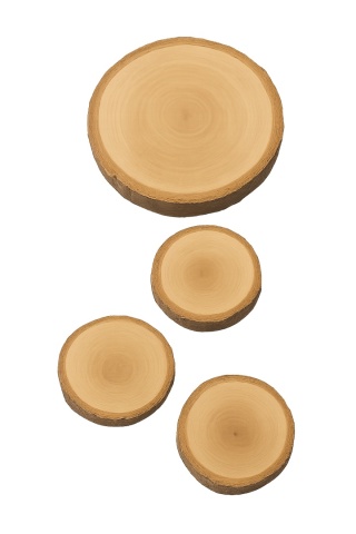 EXO PLANET Oak Wood Slices 3-4cm - Dębowe plasterki drewna