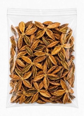 EXO PLANET Pau Terra Estrela 40g