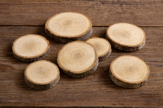 EXO PLANET Oak Wood Slices 3-4cm - Dębowe plasterki drewna
