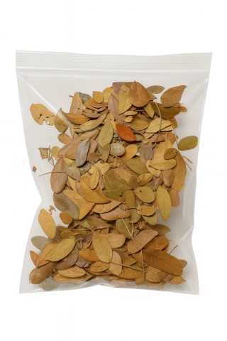 EXO PLANET Tropical Leaves - liście tropikalne 20g