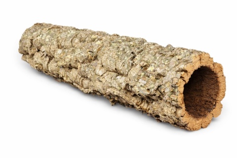 EXO PLANET Tuba korkowa 40 cm (Ø 5–10 cm)