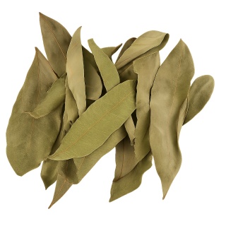 EXO PLANET Longan leaves - liście longanu